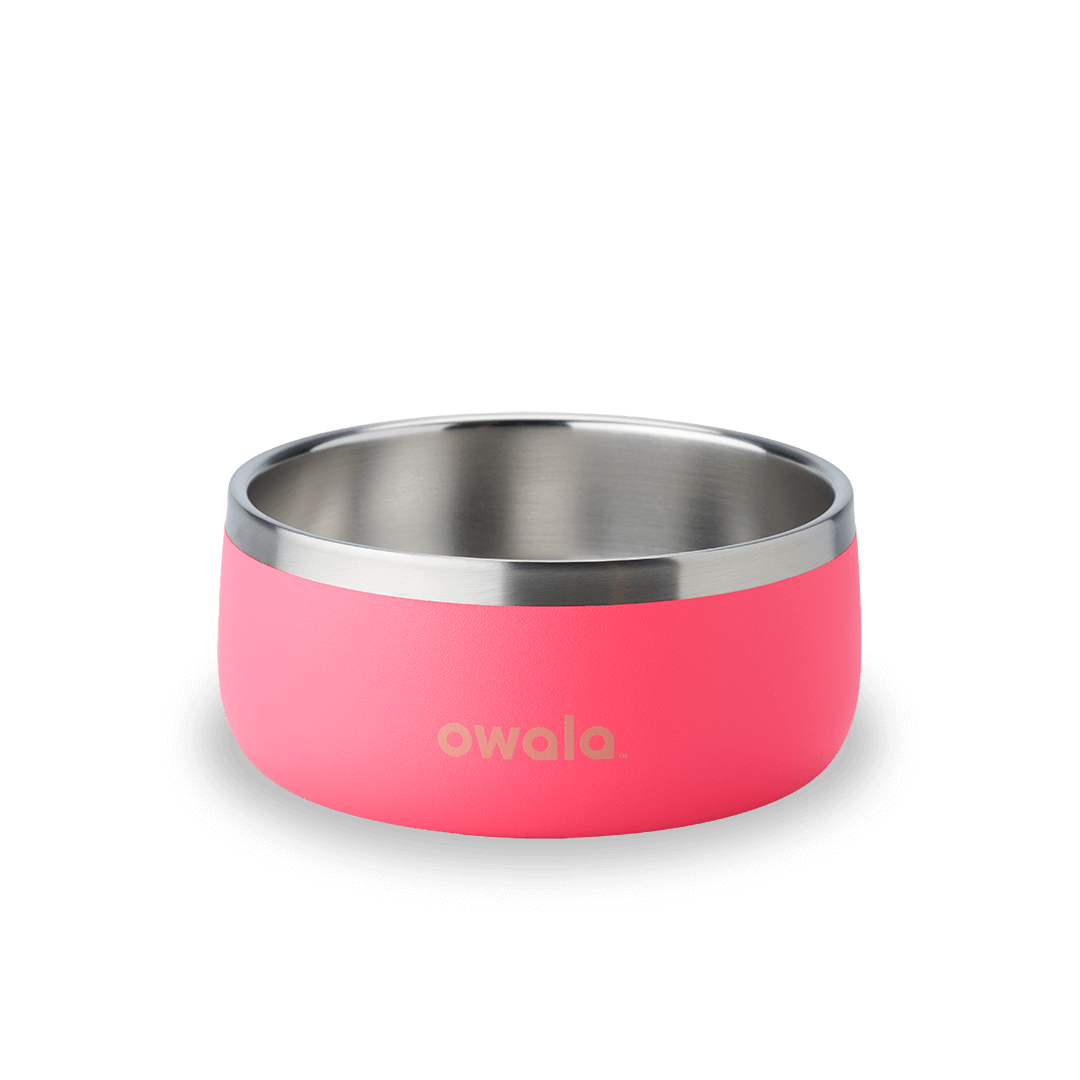 Pet Bowl MFES