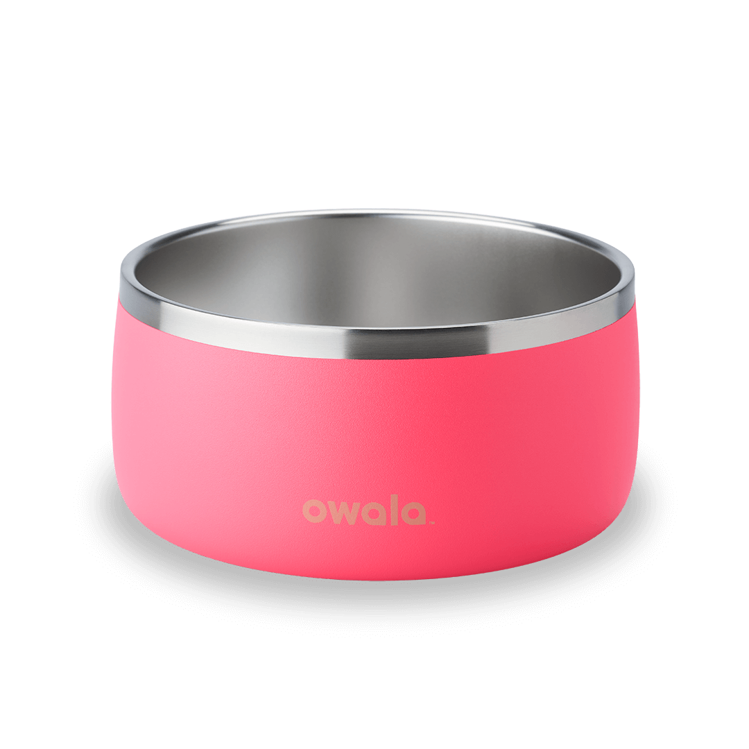 Pet Bowl MFES